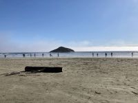 15. Reisetag – Tofino & Pacific Rim National Park – Aufenthalt am Long Beach