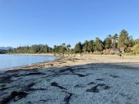 15. Reisetag – Tofino & Pacific Rim National Park – Aufenthalt am Mackenzie Beach
