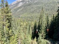 9. Reisetag – Banff- & Yoho-Nationalpark – Fotostopp an den Spiral Tunnels