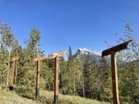 9. Reisetag – Banff- & Yoho-Nationalpark – Fotostopp am Vermilion Lakes Viewpoint mit Blick auf den Mt Rundle