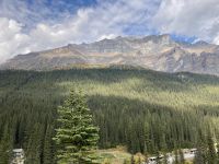 10. Reisetag – Von Banff nach Jasper – Aufenthalt am Moraine Lake – Waldpanorama am Moraine Lake