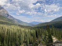 10. Reisetag – Von Banff nach Jasper – Aufenthalt am Moraine Lake – Waldpanorama am Moraine Lake