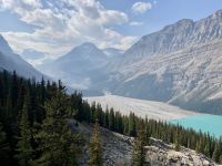 10. Reisetag – Von Banff nach Jasper – Icefields Parkway – Fotostopp am Peyto Lake