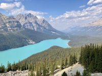 10. Reisetag – Von Banff nach Jasper – Icefields Parkway – Fotostopp am Peyto Lake