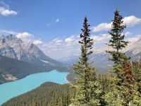 10. Reisetag – Von Banff nach Jasper – Icefields Parkway – Fotostopp am Peyto Lake