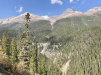 10. Reisetag – Von Banff nach Jasper – Icefields Parkway – Fotostopp am „Big Bend“ mit den Bridal Veil Falls