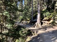 Auf dem Wanderweg zu Lake Agnes