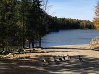 214 Omega Wildpark