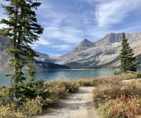 Weg bei Bow Lake