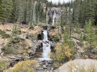 Die Tintangle Faelle