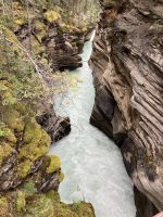 Die Athabasca Schlucht