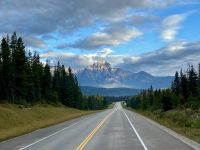 On the Glacier Parkway bei Jasper