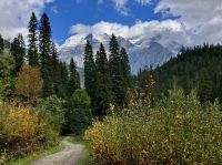 Unser Wanderweg bei Mt Robson