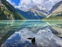 Der tolle Kinney Lake bei Mt Robson
