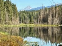 Der hoechste Berg in diesem Park