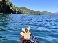 Albert kommt auch mit zum Picknickplatz