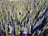 Schwebend in der Peak 2 Peak Gondola