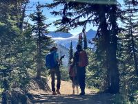Wandern auf Blackcomb Mt