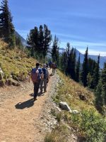 Hoch hinaus in Whistler