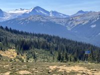 Sicht auf Strawberry fields forever