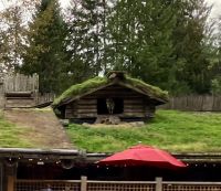 Die Ziegen auf dem Dach in Coombs