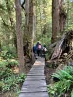 Wandern auf dem Hochsteg