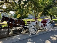 Mit dem Fiaker unterwegs