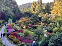 Der versunkene Garten