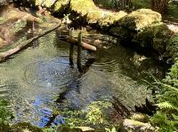 Die Zeit…. Im japanischen Garten