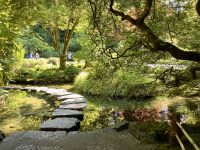 Die Stein-Bruecke uebers Wasser im japanischen Garten