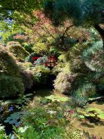 Die rote Holzbruecke bringt Glueck im japanischen Garten