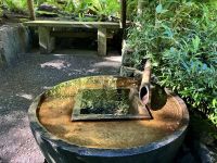 Menschenhand in der Natur im japanischen Garten