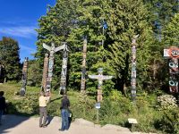 Die geschenkten Pfaehle