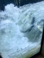 Der Sprung ist gelungen !