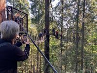 Gemuetlicher auf dem Wipfelgang in Capilano Suspension Bridge