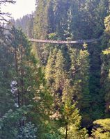 Die Haengebruecke von weiter weg.