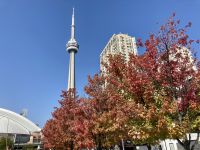 1. Reisetag – Ankunft in Toronto – Spaziergang zur Harbourfront – Laubfärbung vor CN Tower