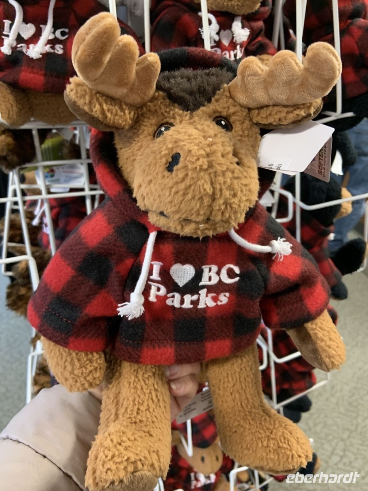 I love British Columbia.jpeg