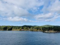 Blick von der Fähre auf die Küste der Inseln.jpeg