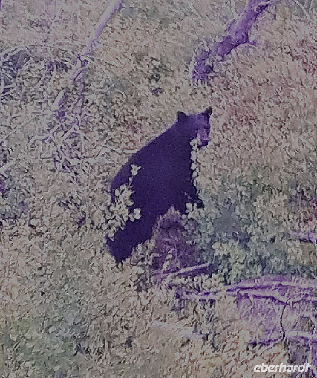 immer wieder eine Überraschung.jpg