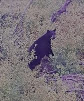 immer wieder eine Überraschung.jpg