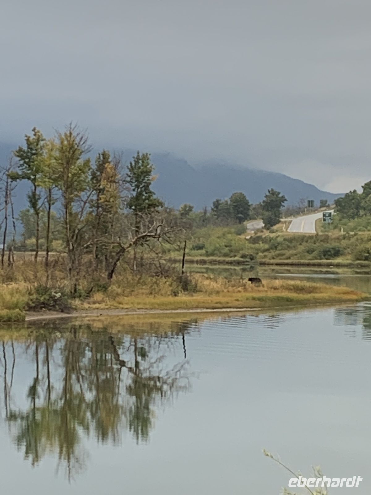 unser erster Bär wurde gesichtet! .JPG