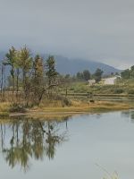 unser erster Bär wurde gesichtet! .JPG