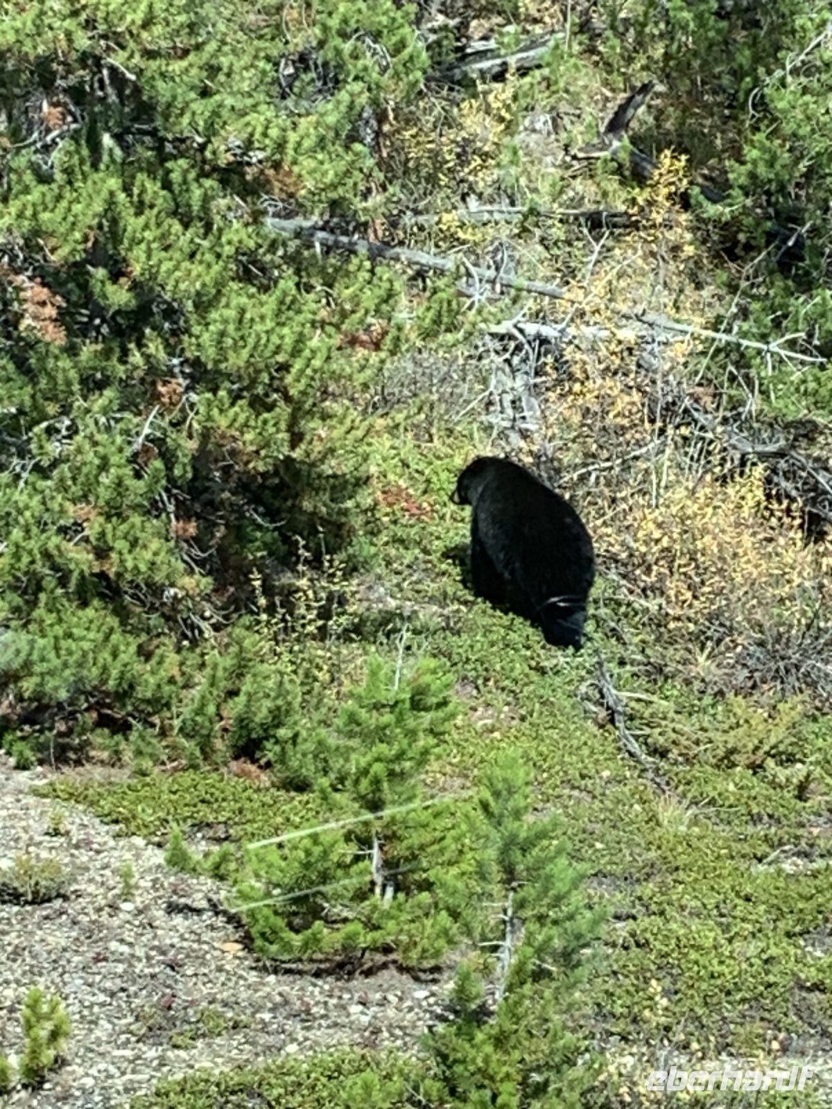 atemberaubend schön.JPG