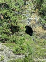 atemberaubend schön.JPG