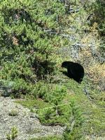 man kann sich kaum satt sehen.JPG