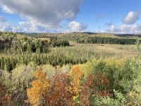 5. Reisetag – Durch den Algonquin Park nach Ottawa – Fotostopp am Besucherzentrum