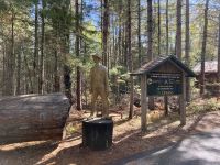 5. Reisetag – Durch den Algonquin Park nach Ottawa – Spaziergang durch das Logging Museum