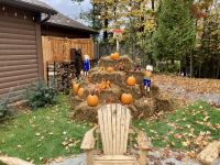 6. Reisetag – Von Ottawa nach Montréal – Besuch des Omega-Wildparks – Deko am Besucherzentrum