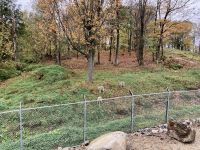 6. Reisetag – Von Ottawa nach Montréal – Besuch des Omega-Wildparks – Koyoten